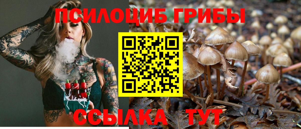Тимашёвск  Псилоцибиновые грибы Psilocybine cubensis  Вход с VPN 